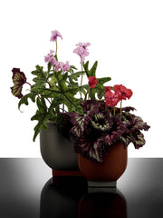 Vaso Design Rosamar 02 Arancione/Grigio Kris Van Assche Serax - Gres e Cemento