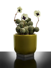 Vaso Design Rosamar 02 Giallo/Grigio Kris Van Assche Serax - Gres e Cemento