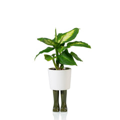 Vaso Stivale Wellington Verde - Vasi in Ceramica Bitten Design