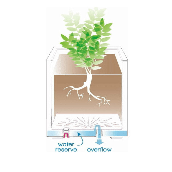 Vaso Millennium Cubo 49x49 | vasi di design in plastica per esterno - CONFIG0351