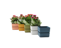 Vaso Veleta 9CM | Vasi di design in plastica colorata TERAPLAST - CONFIG0323